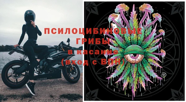 PSILOCYBIN Наволоки