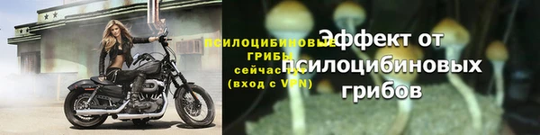 PSILOCYBIN Наволоки