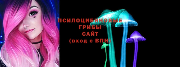 PSILOCYBIN Наволоки