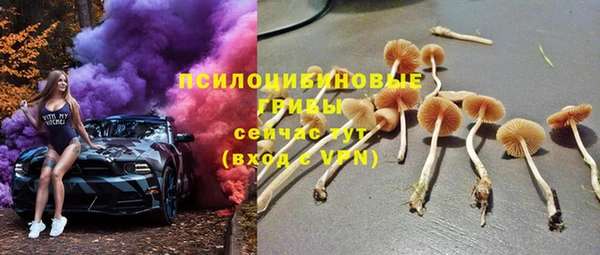 ALPHA-PVP Надым